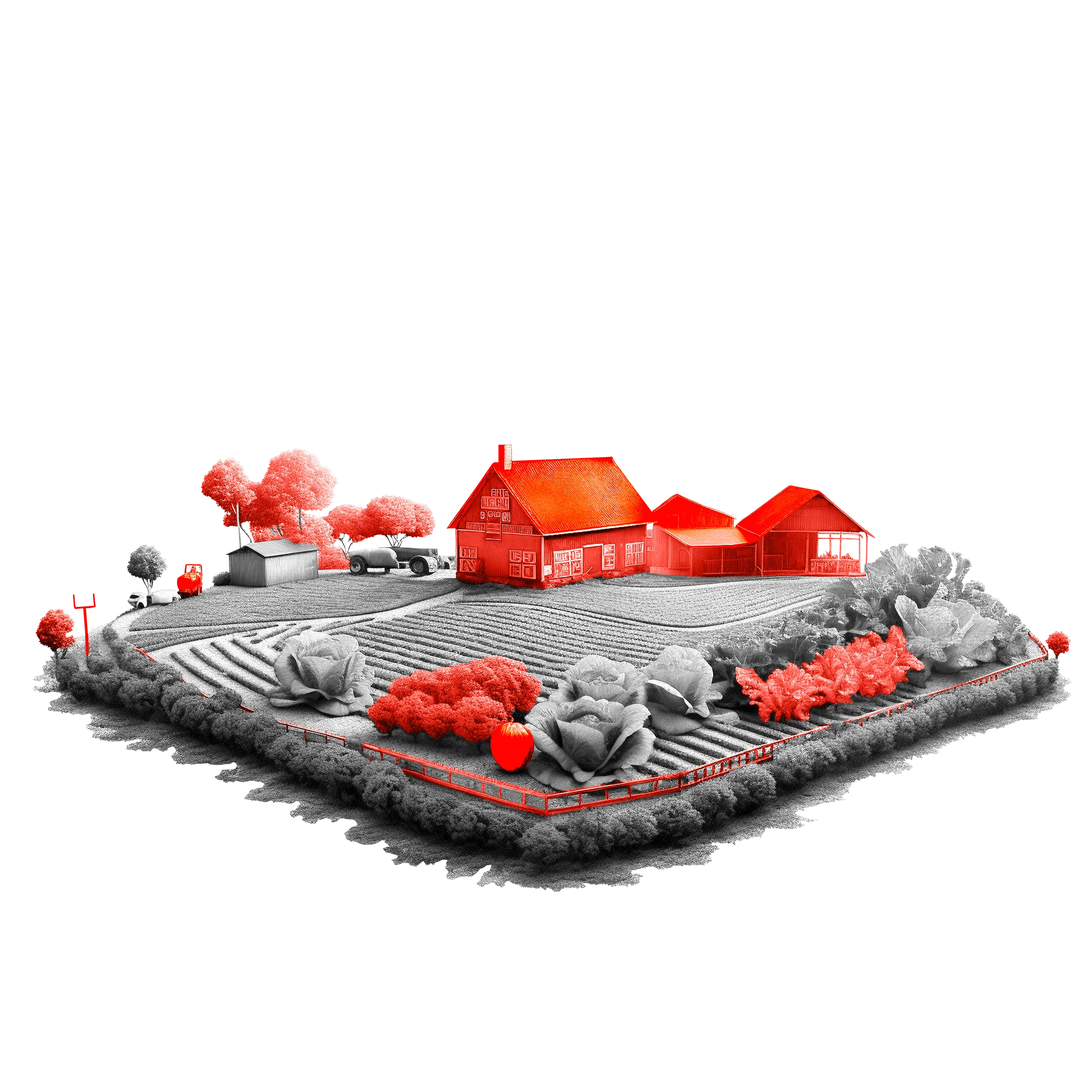 Янгиюуль приусадьба